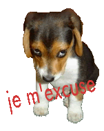 Gif animé je m'excuse chien